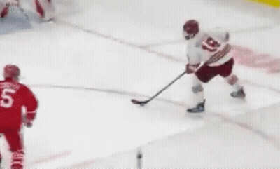 Hockey Player In Red Jersey Number 5 GIF