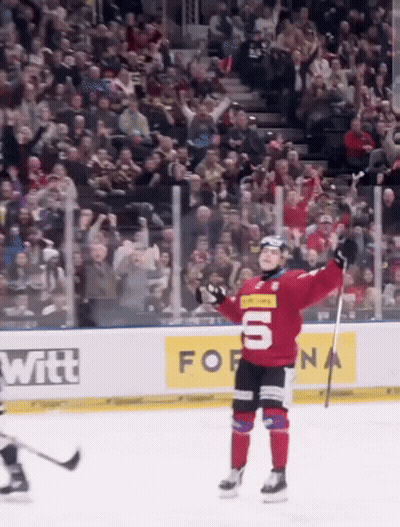 Hockey Player In Red Jersey Number 6 GIF