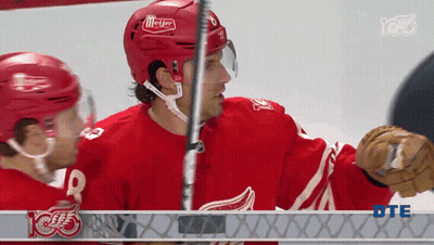 Hockey Player In Red Jersey Number 9 GIF
