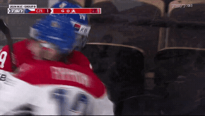 Hockey Player In Red Jersey Number 9 GIF
