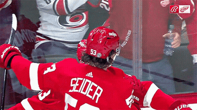 Hockey Player In Red Jersey Seidler GIF