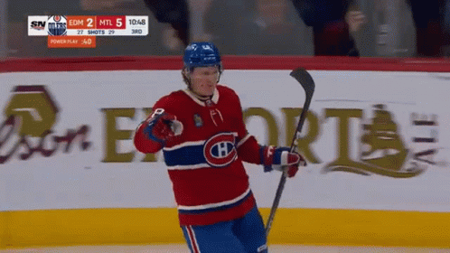 Hockey Player In Red White And Blue Jersey Holding Stick GIF