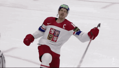 Hockey Player In Red White And Blue Jersey With Czech Flag GIF