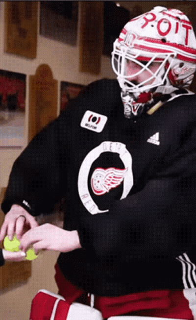 Hockey Player In Red Wings Jersey Holding Tennis Ball GIF
