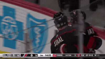 Hockey Player In Staal Jersey GIF