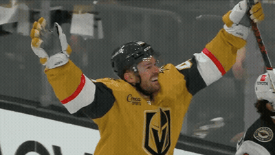 Hockey Player In Toyota Jersey GIF