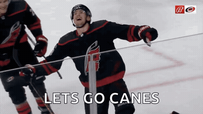 Hockey Player Lets Go Canes GIF