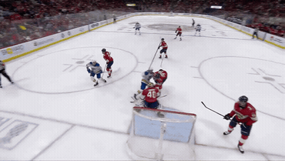 Hockey Player Number 28 Celebrating Goal GIF