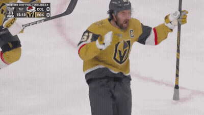 Hockey Player Number 3 Celebrating With Teammate GIF