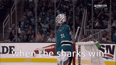 Hockey Player Number 31 Behind Net GIF