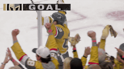Hockey Player Number 4 Celebrating Goal GIF