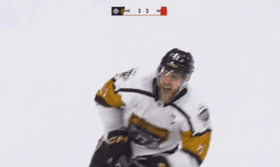 Hockey Player Number 41 Celebrating Goal GIF