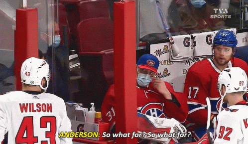 Hockey Player Number 43 Talking To Another Player GIF