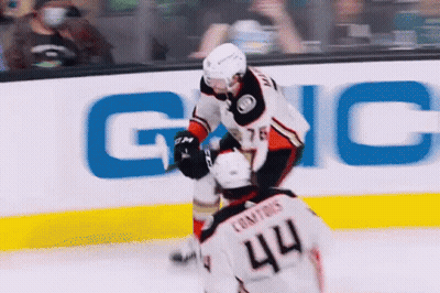 Hockey Player Number 44 Fighting GIF