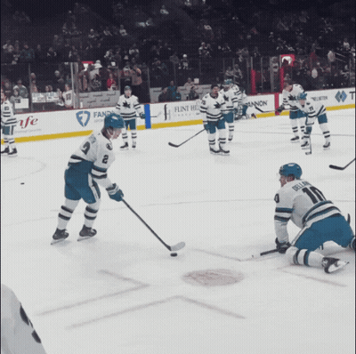 Hockey Player On Ice With Bring Out Your Bee Banner GIF
