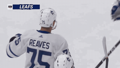 Hockey Player Reaves GIF