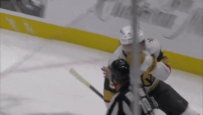 Hockey Player Tackled By Referee GIF