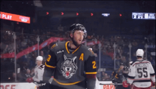 Hockey Player Wearing Jersey Number 3 GIF