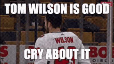 Hockey Player Wilson GIF