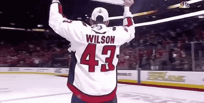 Hockey Player Wilson GIF