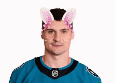 Hockey Player With Bunny Ears And Cat Mask GIF