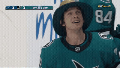 Hockey Player With Hat And Number 84 Jersey GIF
