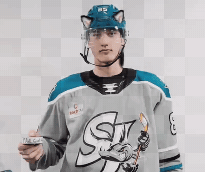 Hockey Player With Helmet 85 Holding Puck GIF