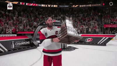 Hockey Player With Trophy And Champions Banner GIF