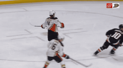 Hockey Player Zebras On Jersey GIF