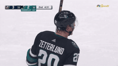 Hockey Player Zetterlund GIF