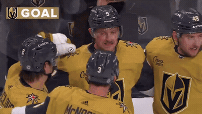 Hockey Players Celebrating Goal With Banner GIF