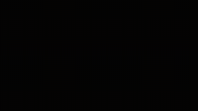 Hockey Puck With Tiger And #14 Meyerz Goal In Green GIF