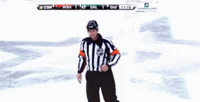 Hockey Referee Says You Can't Do That GIF