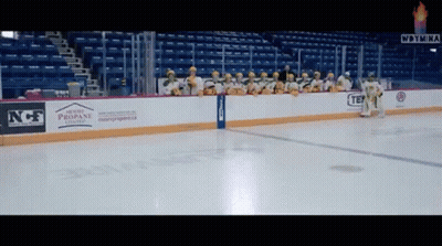 Hockey Rink With Propane Ad GIF