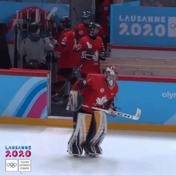 Hockey Vincent Skiing GIF