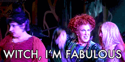 Hocus Pocus Movie Witches GIF