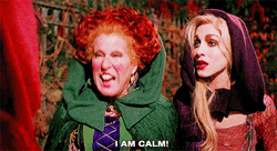Hocus Pocus Winifred I Am Calm GIF