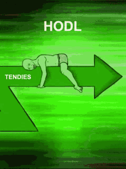 Hodl Gme GIF