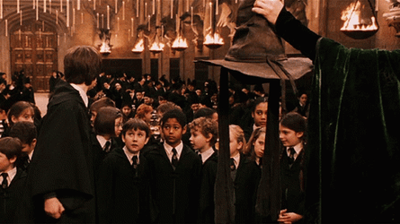 Hogwarts Anxious Harry Potter Sorting Hat GIF