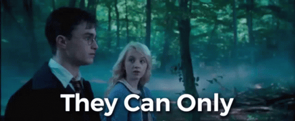 Hogwarts Harry Potter Who Bought The Deluxe Edition GIF