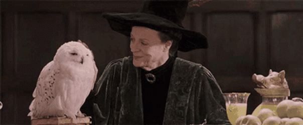 Hogwarts Minerva McGonagall GIF