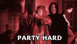 Hogwarts Wizard Party Hard GIF