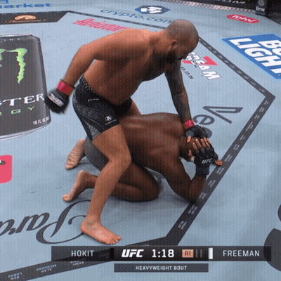 Hokit Vs Freeman Heavyweight Bout UFC 1:18 GIF