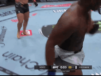 Hokit Vs Freeman UFC Heavyweight Bout GIF