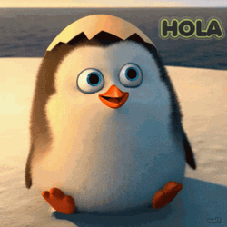 Hola Cute Penguin GIF