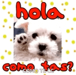 Hola Hi GIF