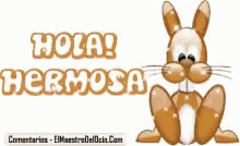 Hola Rabbit Cartoon GIF