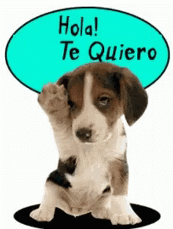 Hola Te Quiero Adorable Puppy GIF