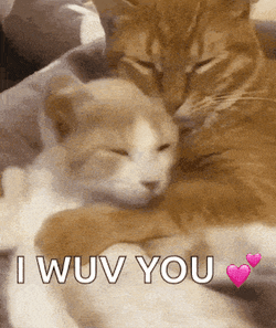 Holaroberto3 GIF