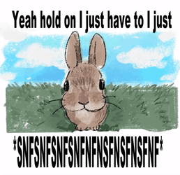 Hold On Bunny Sniff GIF